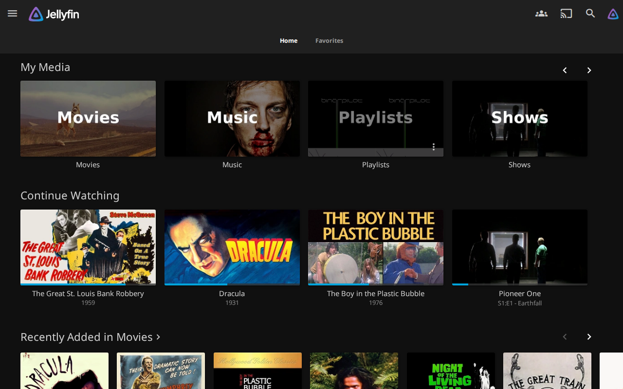 Jellyfin media library showing movies, TV shows, and music collections in the web interface